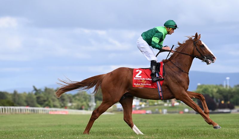 Benvenuto Cellini and Ryan Moore won the Dubai Duty Free Irish Derby Group 1