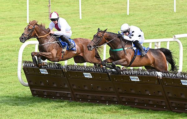 Minella Rockett (far side) leads Sofi's Gift over the last