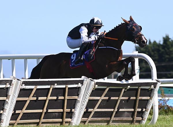 Newbrook Diamond and Danny Gilligan