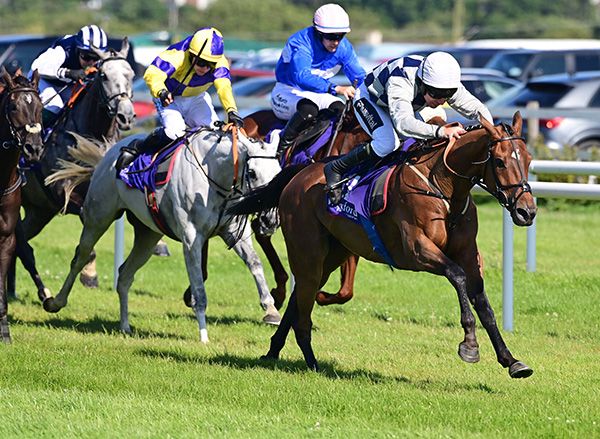 He Who Dares and Philip Enright