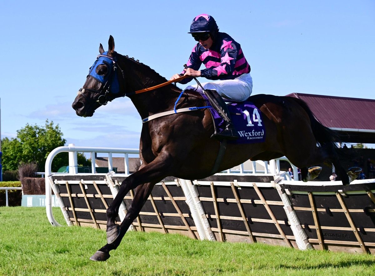 Backinabit and Daniel King 