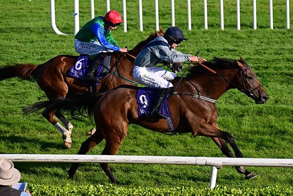Lisleigh Lad and Alan O'Sullivan