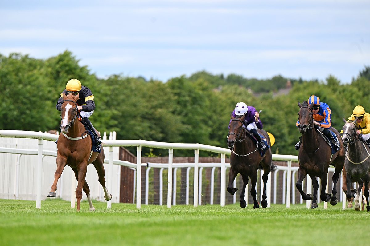 Concorde Landed and Billy Lee win for trainer Paddy Twomey and owners Bond Thoroughbred Limited 