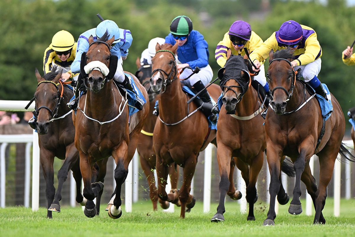 Sovereign Cry and Terry Casey right win for trainer Danny Murphy and owner John O Hagan 