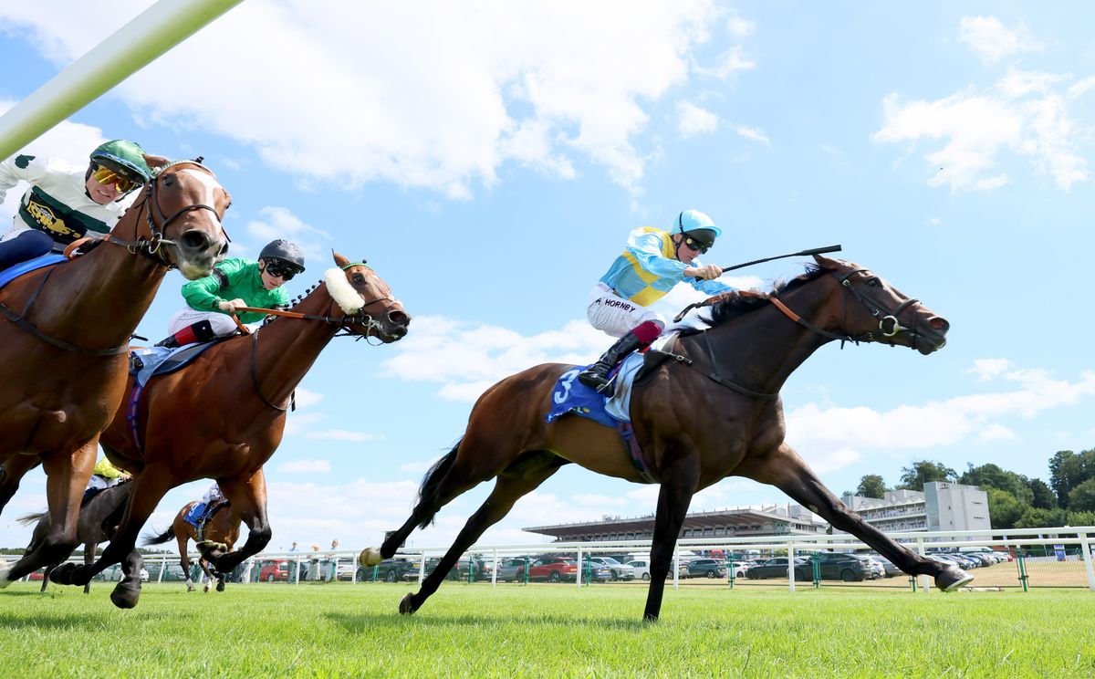 Rumstar set to be supplemented for the Flying Five Stakes 