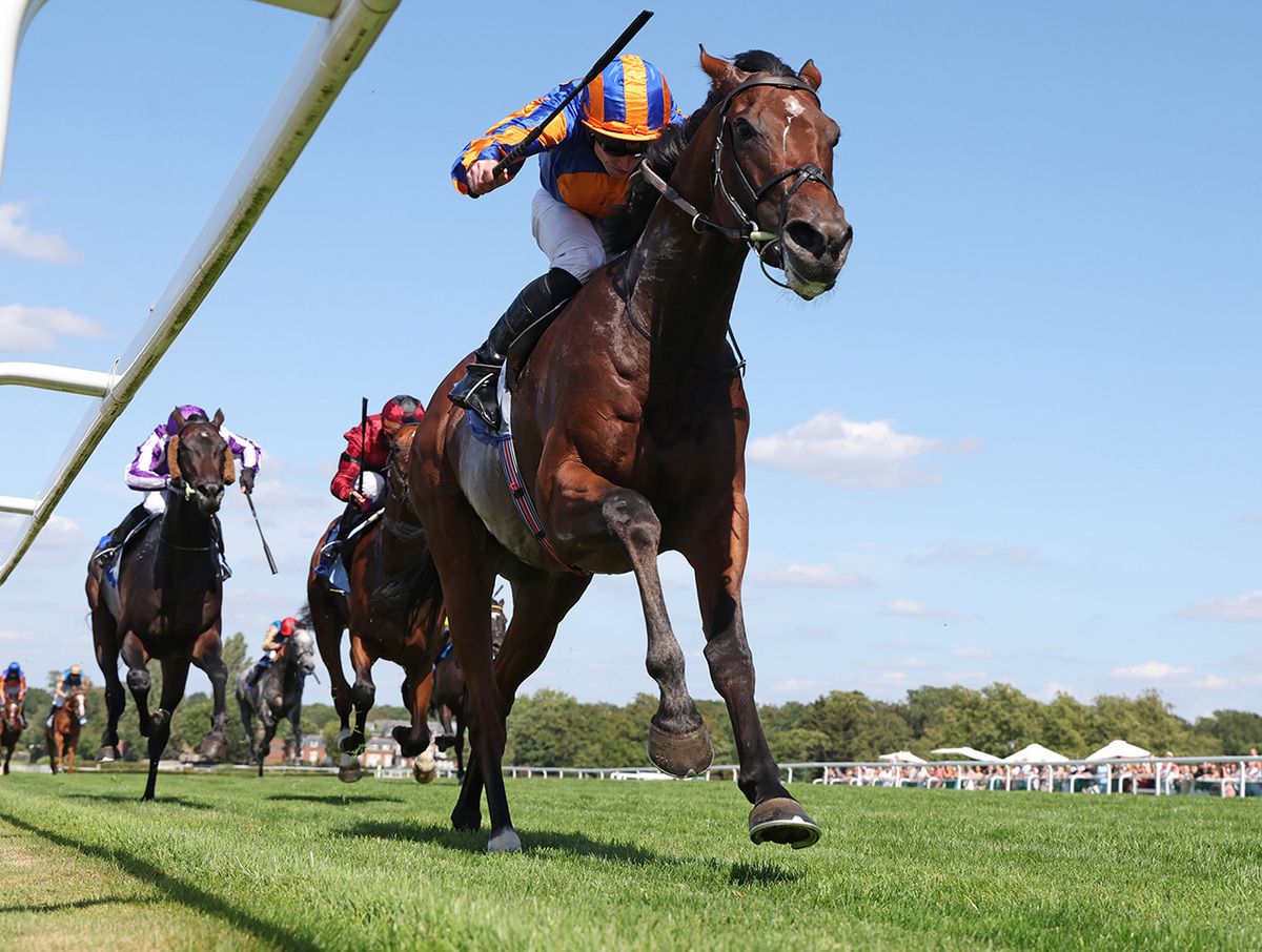 Coral Eclipse Group 1 Constitution River and Ryan Moore 
