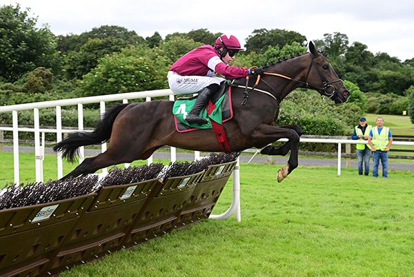 Bellewstown Mino Des Mottes and Josh Williamson win the Dickie McGuinness Novice Hurdle