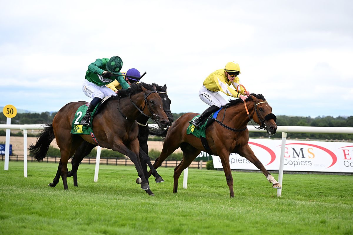 L L Koulsty and Rory Mulligan (Yellow)