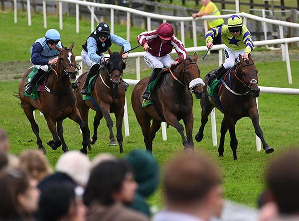 Putapoundinthejar, second right, battles home best