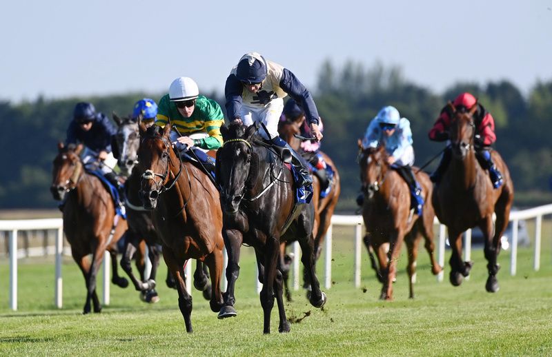Floresta leads them home