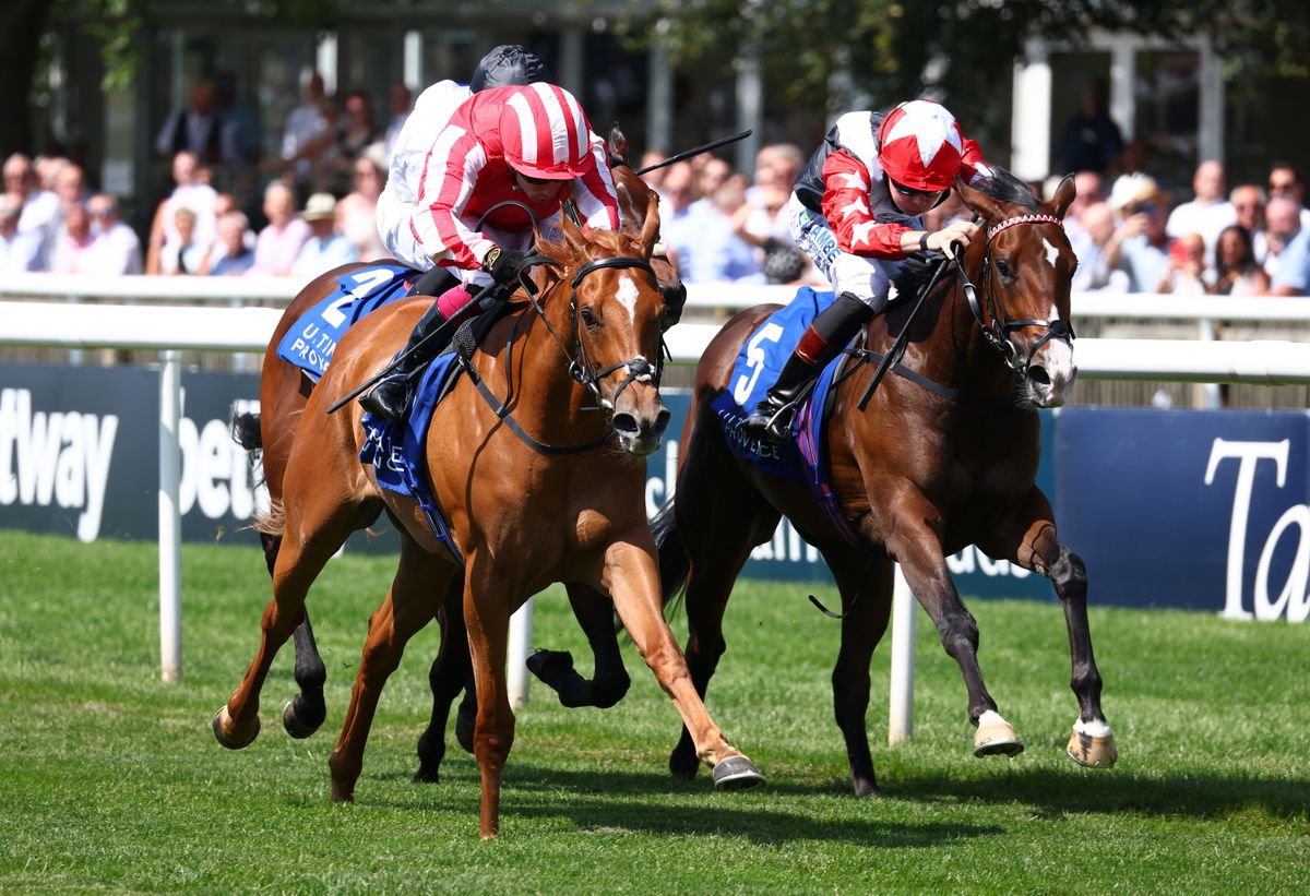 Senorita Bonita and Oisin Murphy (nearest)