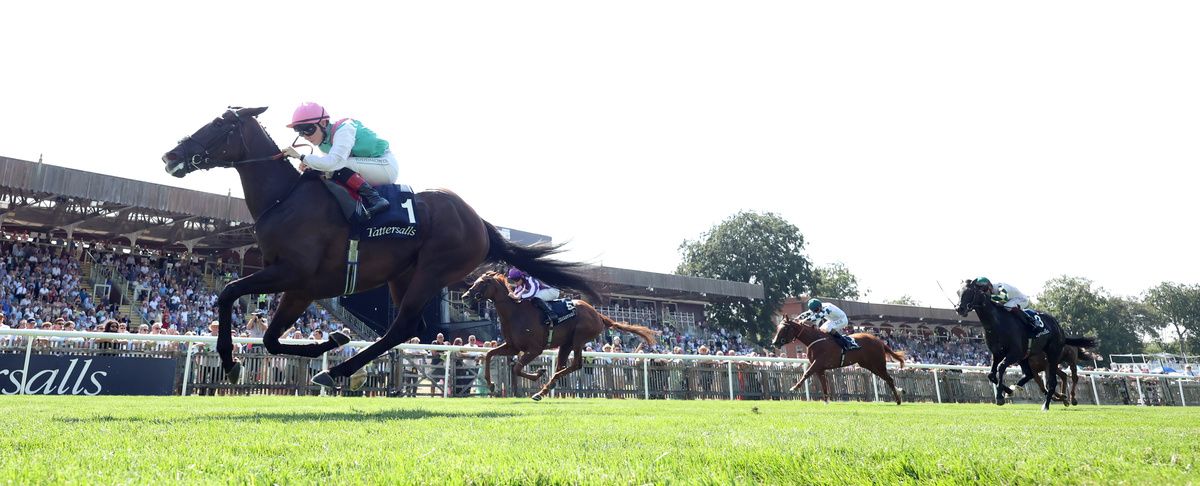Blue Bolt and Colin Keane win the Falmouth Stakes from Precise (purple, far side)