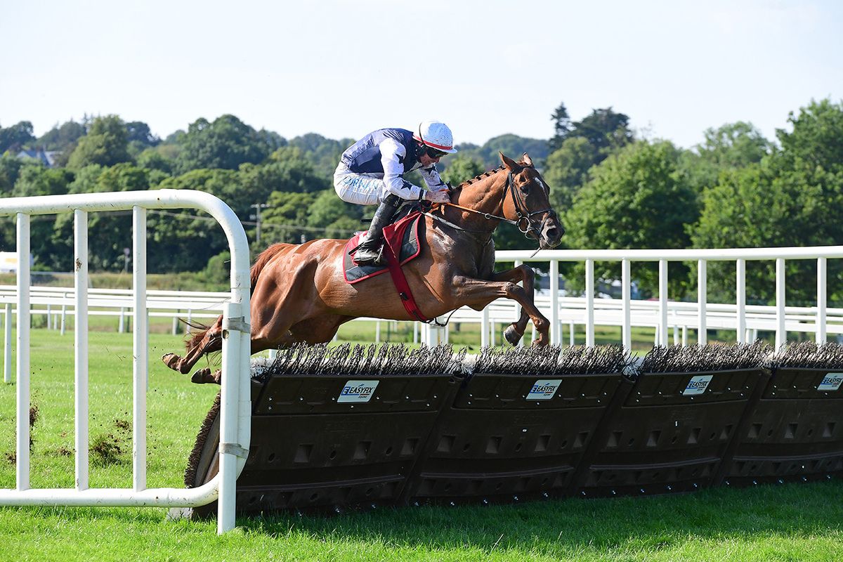 Cosmos D'ainay and Jack Kennedy 