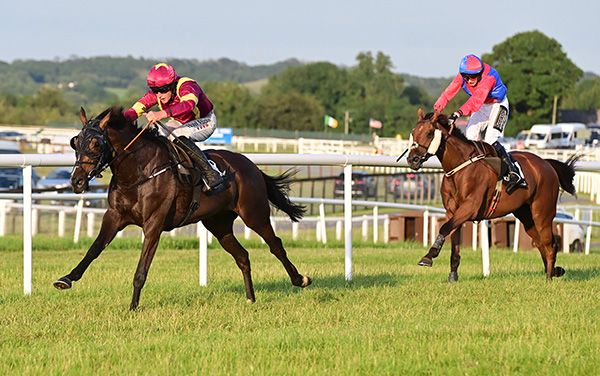  Knocknagoran Lady beats Thewaybackhome