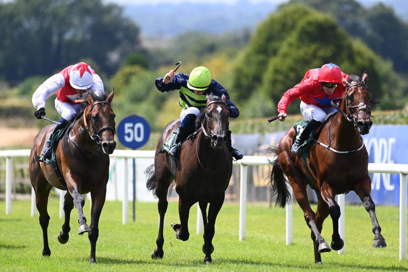 Cool Azul and Billy Lee hug the rail to right win for trainer Andy Oliver at Navan