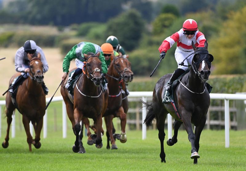 Gotta Catch'em All and Siobhan Rutledge power clear win for trainer Harry Rogers 