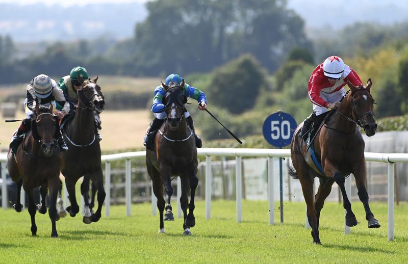 Admiral Will Brown and Wesley Joyce on their way to giving trainer Paddy Magee his first double