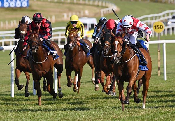 Glen Breeze and Joey Sheridan (white cap) strike for home at Limerick