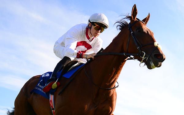  Al Haarith and Dylan Browne McMonagle win for Joseph O'Brien at Limerick