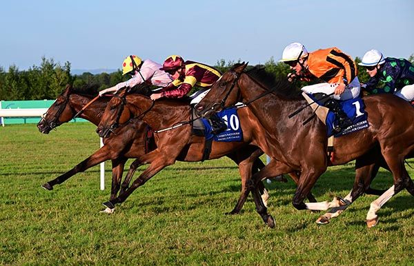 Magna Gee Gee and Robyn Donaghue-Leahy (far side) gamely hold on to win at Limerick