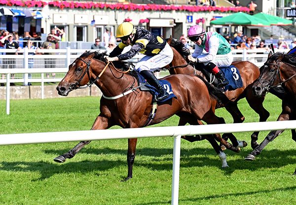 Paddy Twomey's City Of Dubai makes a winning debut under Billy Lee at Killarney