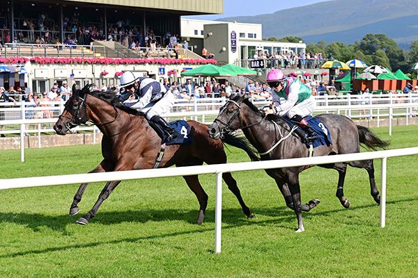 Aidan O'Brien's Straight Up and Wayne Lordan win at Killarney