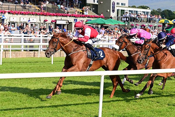 Johnny Soda and Adam Caffrey win for trainer Ado McGuinness and the Go Nutz Racing Syndicate at Killarney 