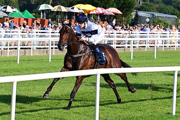 Molto Amichi and Luke McAteer win for trainer Eoin Griffin at Killarney