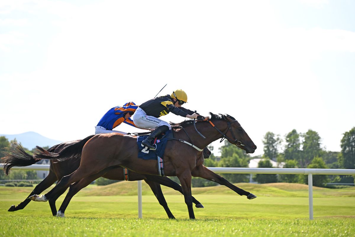 Killarney 13 July 2026 City Of Dubai and Bily Lee win for owner Bond Thoroughbred Ltd 