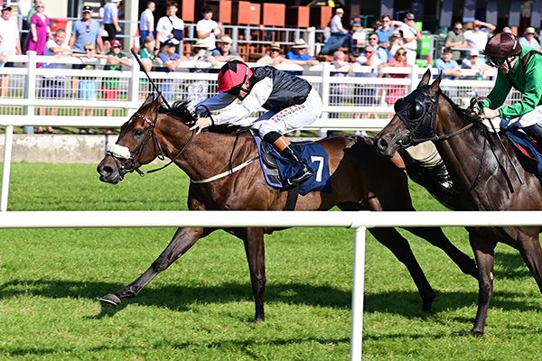 Wild Sapphire and Chris Hayes 