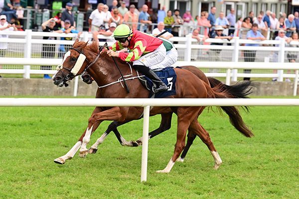Minaun View and Patrick McGettigan on their way to winning for Ado McGuinness at Killareny