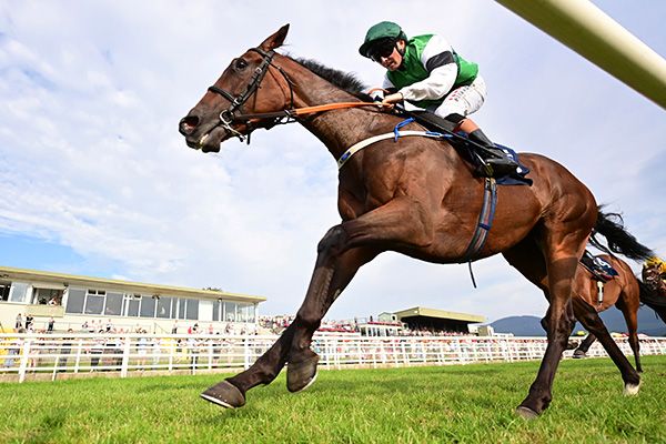 Meriden and Chris Hayes win at Killarney for trainer Denis Hogan