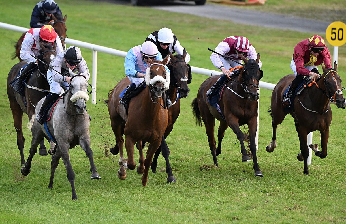 Arch Enemy and Sam Coen (left) win for the Black Steel Square Syndicate and trainer Paddy Magee