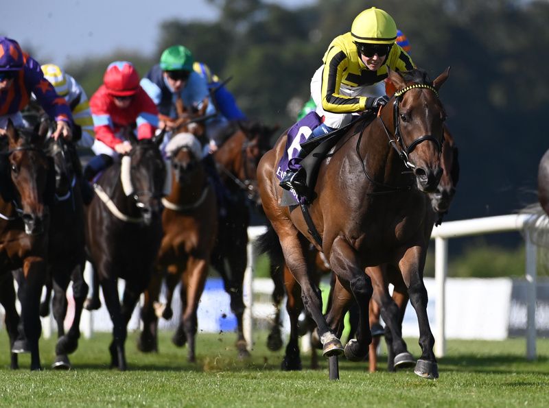 Ardadslosttheplot and Rebecca Parsons 