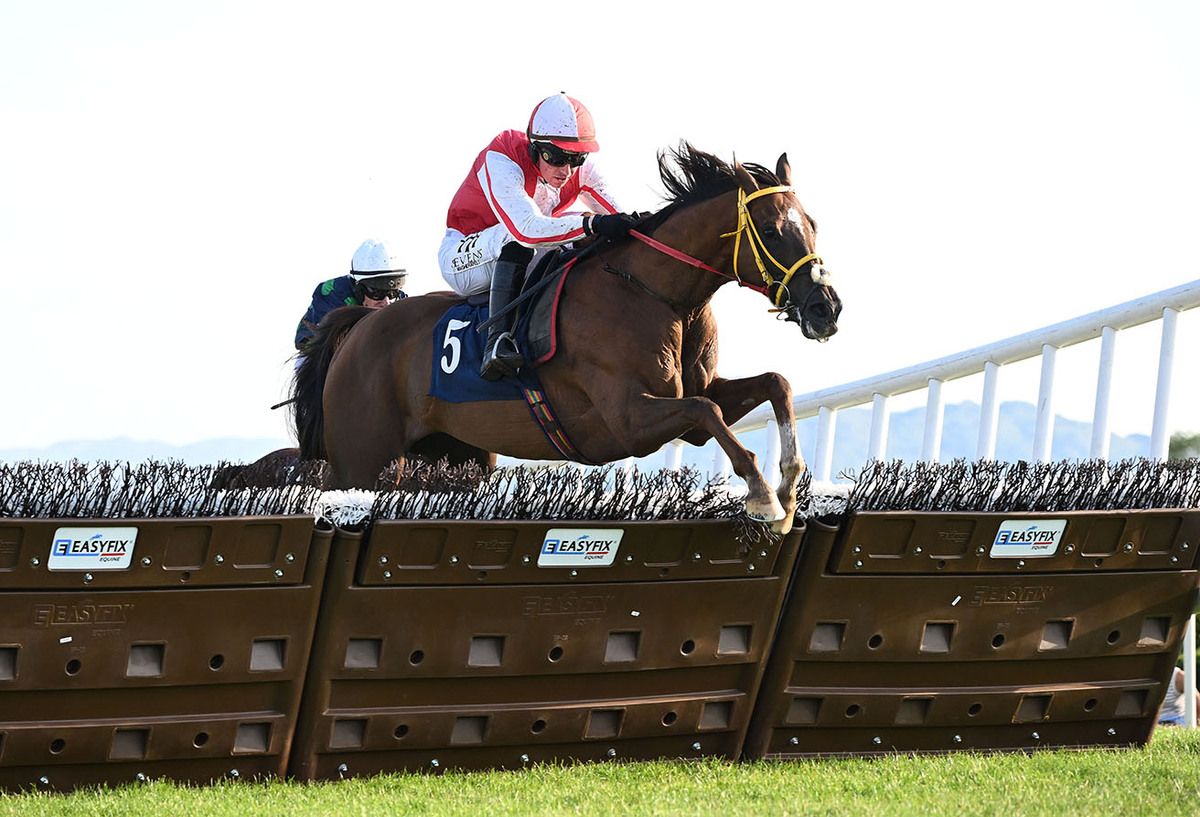 Lips Freedom and Donagh Meyler 