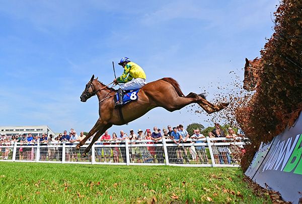 Femme Magnifique and Cian Quirke
