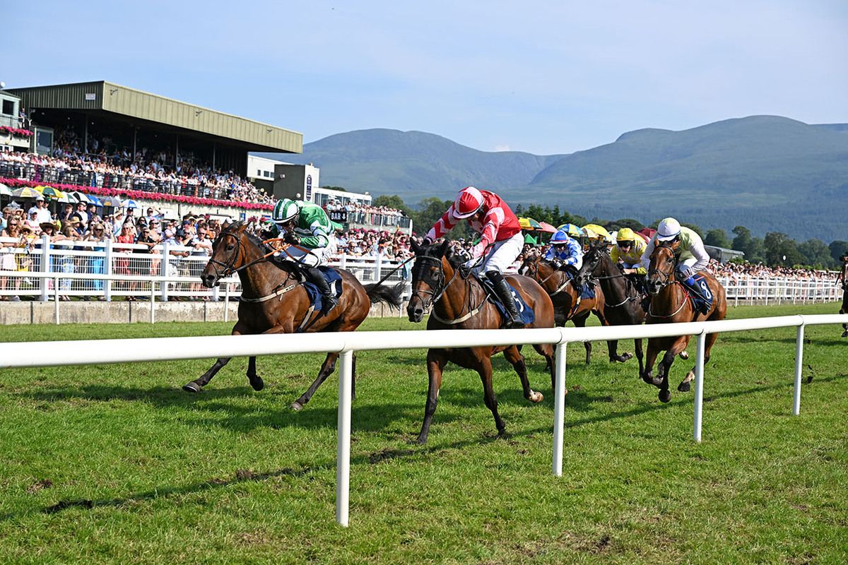 Unquite Dreams (left) and David Doyle
