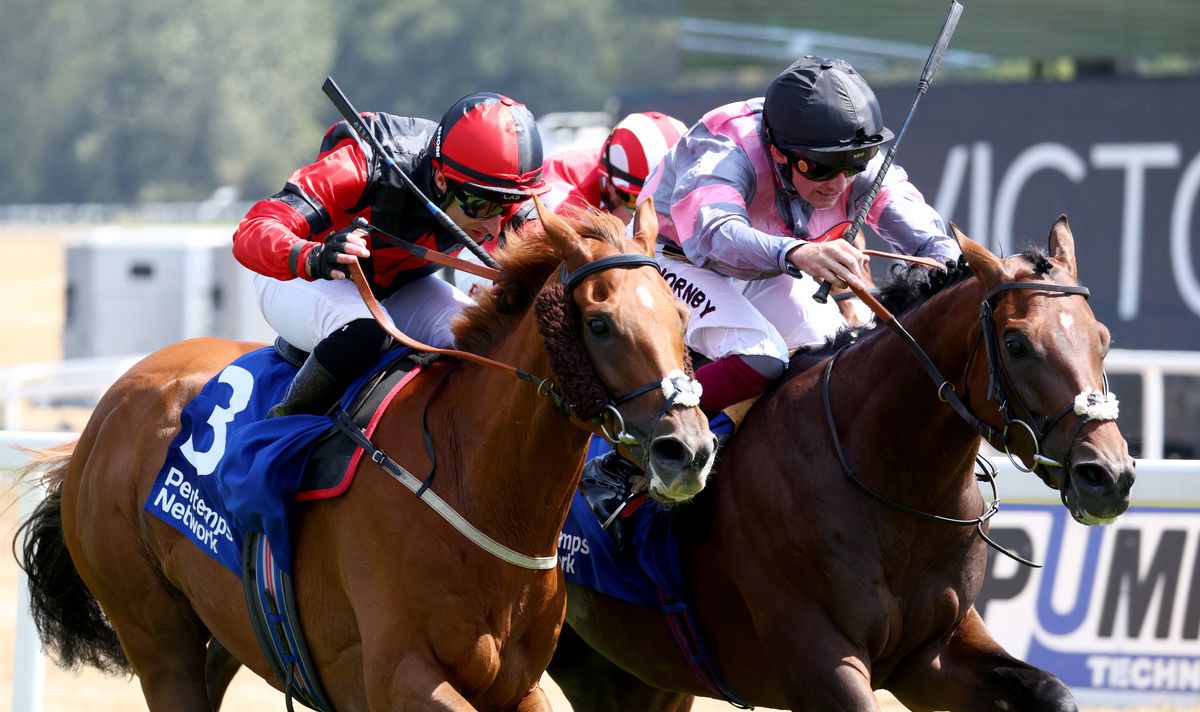 Shrimp Shady (black cap) winning at Newbury in June