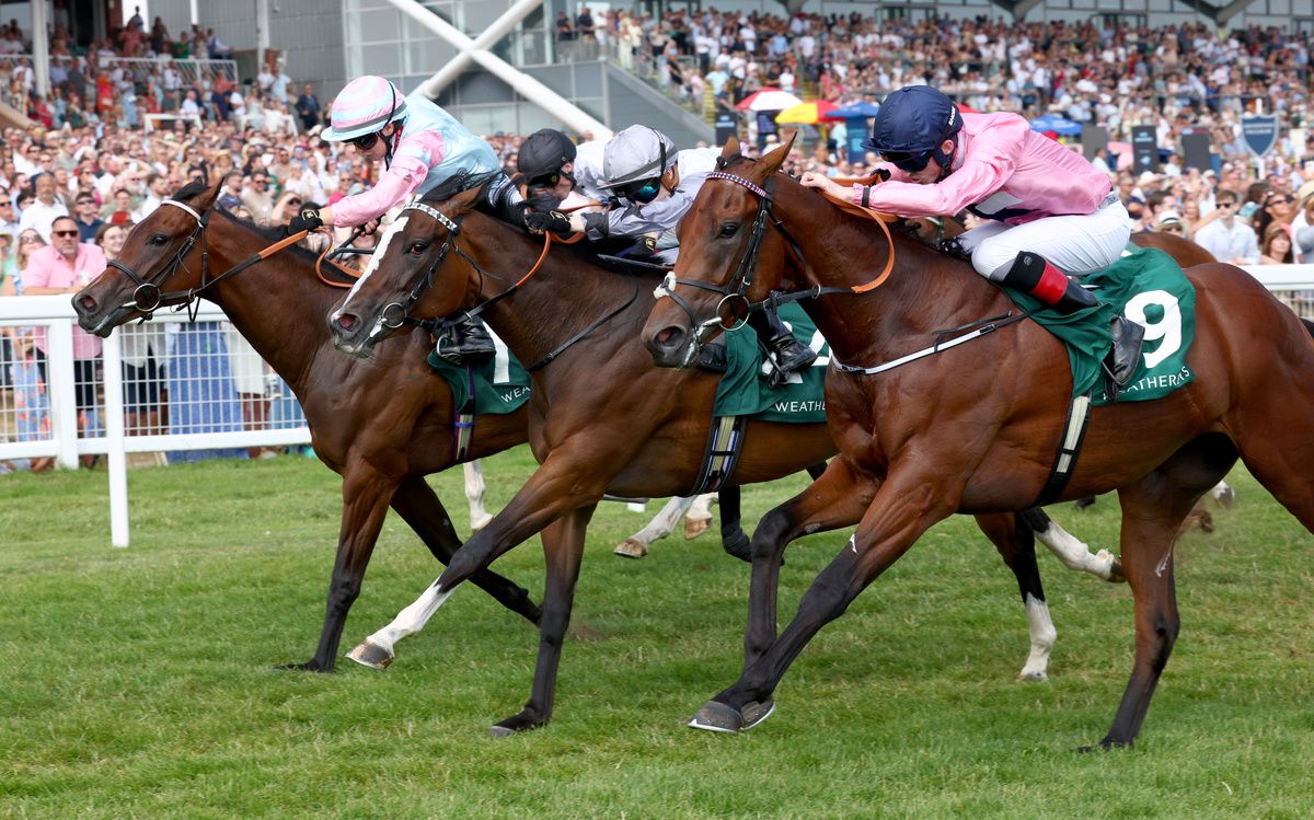 Newbury 