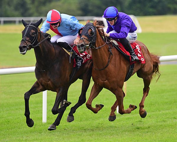  Guinelot and Donagh O Connor left 