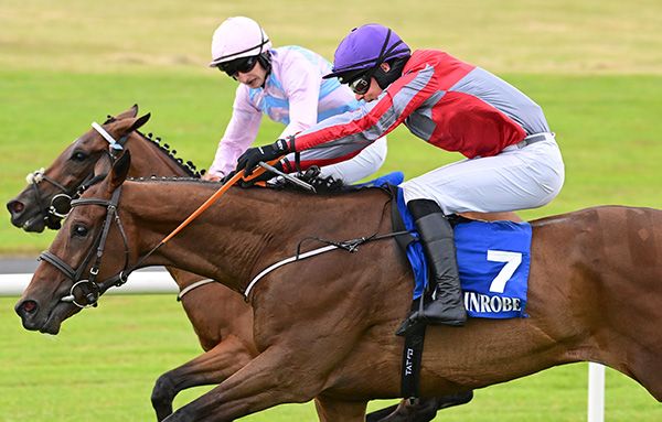 Max Meridius and Danny Mullins near