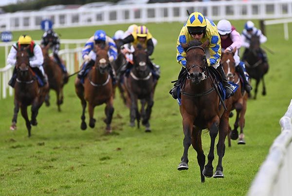 She'll Be Kept and Phillip Enright 