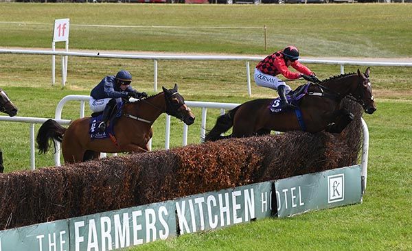 Full Of Life, under Darragh O'Keeffe, leads Future Prospect 