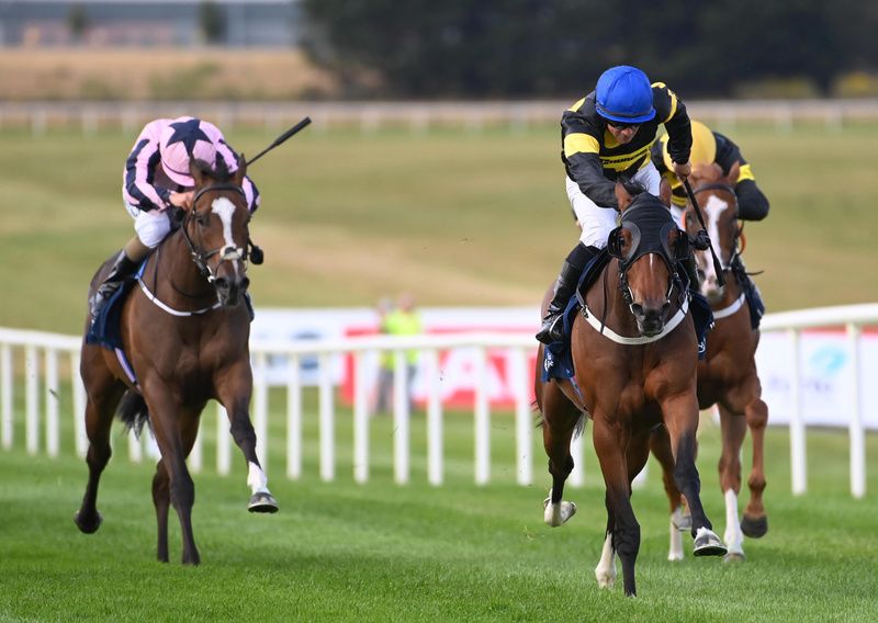 Big Negotiator and Wayne Lordan win for trainer Paddy Twomey 