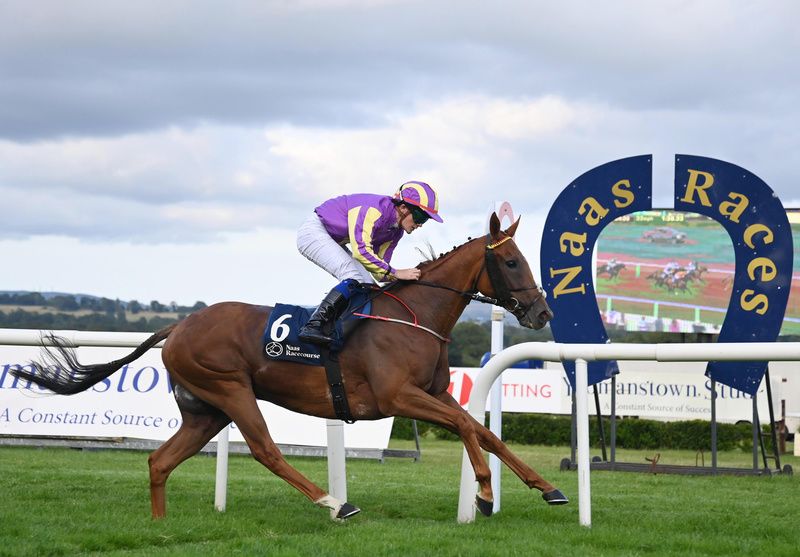 Dinamine and Terry Casey win for trainer Mick Mulvany 