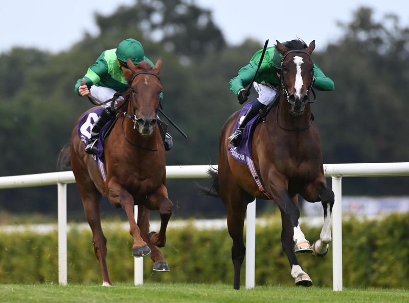 Green Dreamer, right, beats Shakespeare