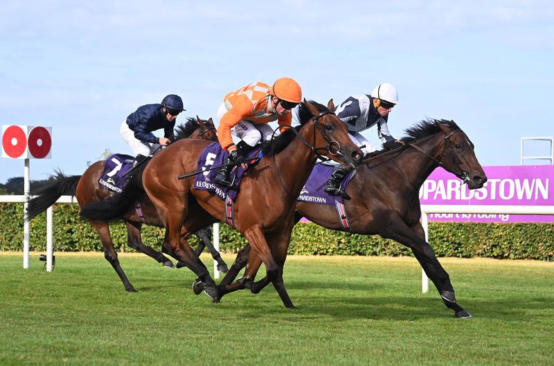 Alpha and Ryan Moore