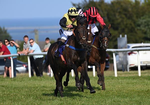 Phildante, near side, wins by a neck 