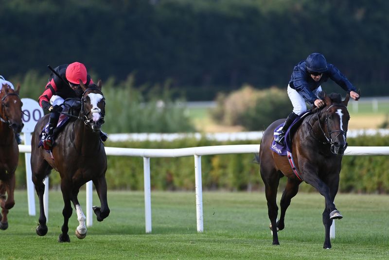 Florida Bay, right, enjoys himself out front