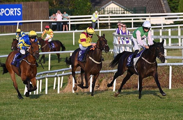 Cotswold Blue, right, in charge at Wexford